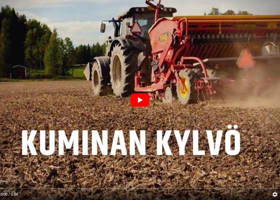 Kuminan kylvö