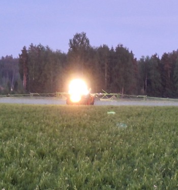 Kuminakoin tarkkailun aika on nyt!
