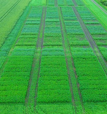 Trans Farmin koetoiminta 2025 ja kesän tapahtumia