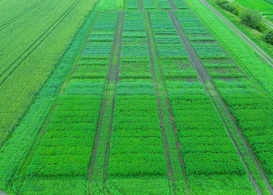 Trans Farmin koetoiminta 2025 ja kesän tapahtumia