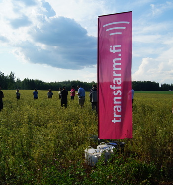 Trans Farmin kesäkiertueelta aimo annos erikoiskasviasiaa
