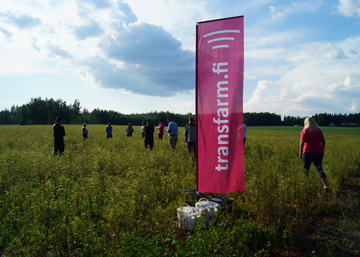 Trans Farmin kesäkiertueelta aimo annos erikoiskasviasiaa