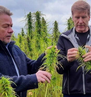 Idätettyjen superfood-kasvituotteiden valmistus käynnistyy - Trans Farm ja Golden Malt perustavat yhteisyrityksen