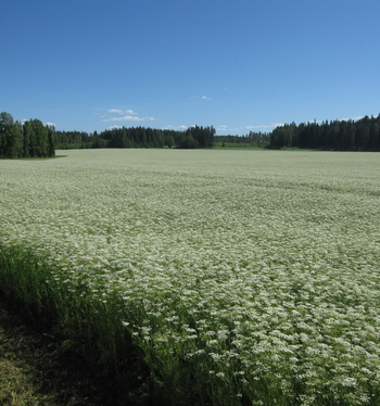 Trans Farm mukana ViljaTavastian syystapaamisessa la 21.11.
