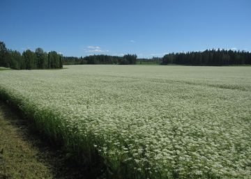 Trans Farm mukana ViljaTavastian syystapaamisessa la 21.11.