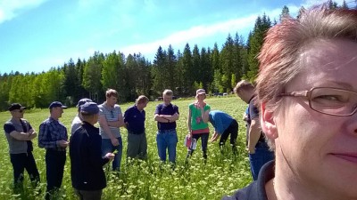 Kuminaväkeä pellonpientareella