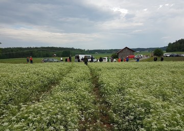 Pellonpiennartilaisuus Nousiaisissa 16.6.