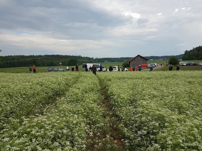 Pellonpiennartilaisuus Nousiaisissa 16.6.
