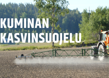 Kuminan kasvinsuojelu video on julkaistu