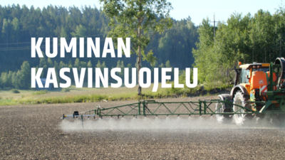 Kuminan kasvinsuojelu video on julkaistu