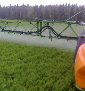 Satovuoden kuminan ruiskutukset – kohteena juolavehnä ja kuminakoi