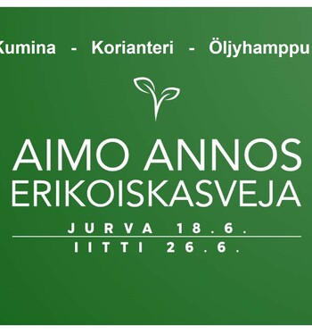Nappaa kesän menovinkit talteen!