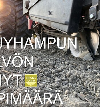 Öljyhampun kylvön lyhyt oppimäärä