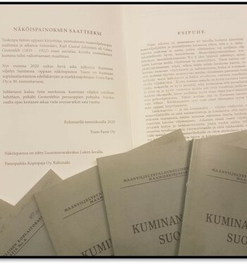 Kuminan viljelys Suomessa
