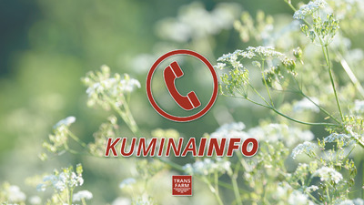 YHTEINEN TAVOITTEEMME ON HYVÄLAATUINEN KUMINA!