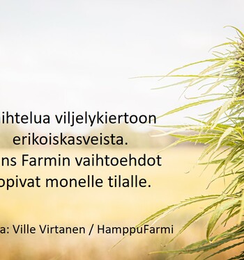 Viljelykierrolla on väliä!