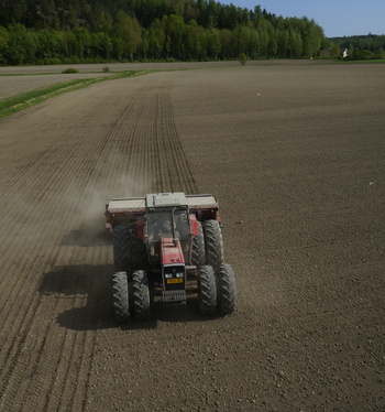 Kuminan kylvösiementoimitukset käynnissä, noudot 1.4. alkaen