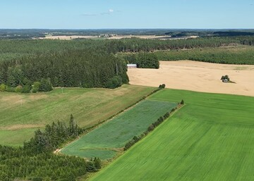 Trans Farm Puontin Peltopäivässä