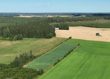 Valon määrä saa puhelimen soimaan – erikoiskasveilla on nyt vetovoimaa