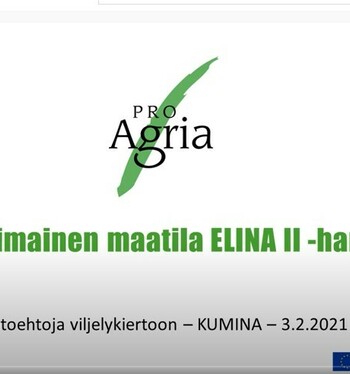 Kumina-webinaarin tallenne julkaistu