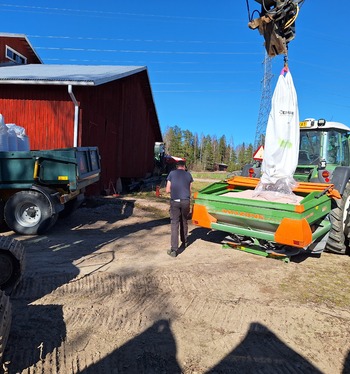 Kevättöitä kuminamailla - öljyhampun kylvöille ilmojen lämmettyä