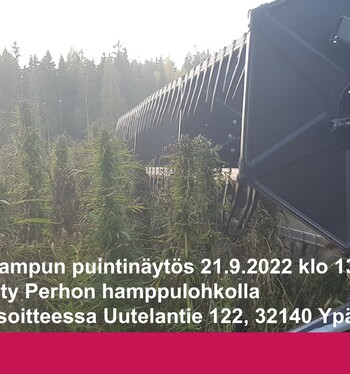 Hampun puintinäytös 21.9. Ypäjällä