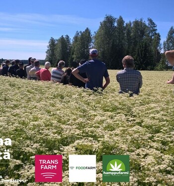 Tervetuloa pellonpientareelle