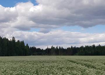 Huomioi kasvinsuojeluaineiden ruiskutusajat ja  varoajat satovuoden lohkoilla