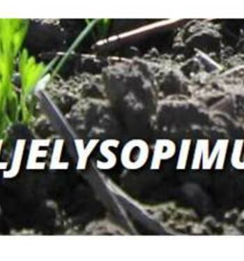 Kuminan viljelysopimukset 2019/2020