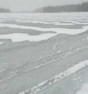 Päivitä viljelysuunnitelma öljyhampulla