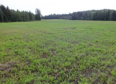 Säilyttää vai päättää? Arvioi kuminalohkon tulevaisuus