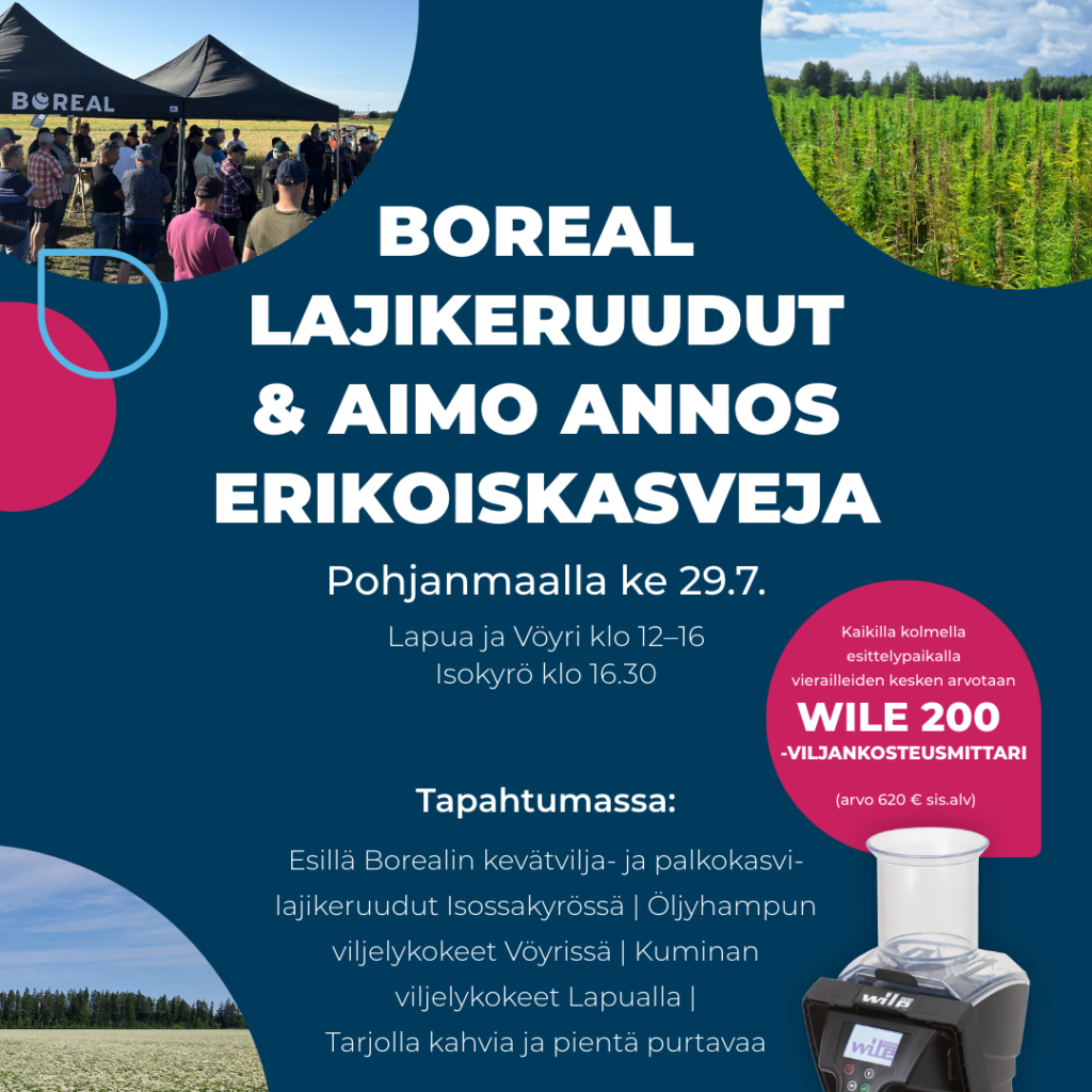 Boreal lajikeruudut & Aimo Annos erikoiskasveja 29.7.2026